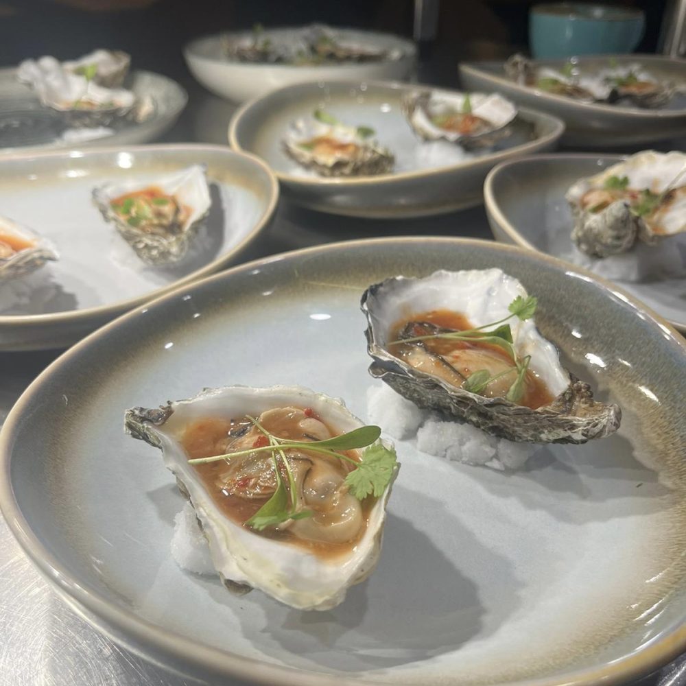 Boards, Bubbles & Oysters